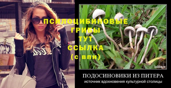 прущие крисы Алексеевка