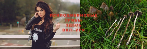 прущие крисы Алексеевка
