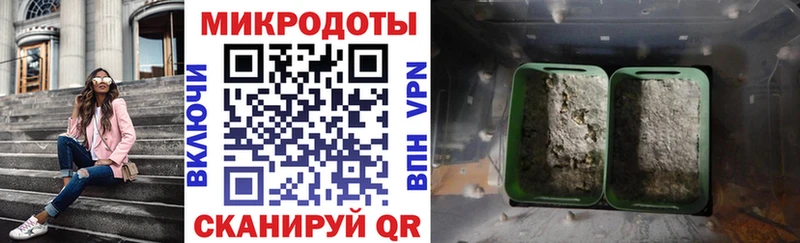Галлюциногенные грибы Psilocybine cubensis  Льгов 